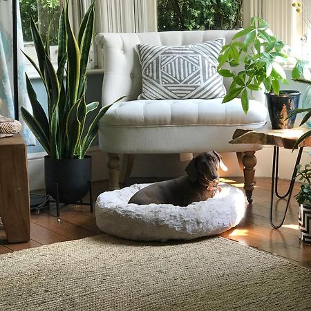 Dawn And Dudley The Sausage Dog'S Parkside Home London Exterior foto